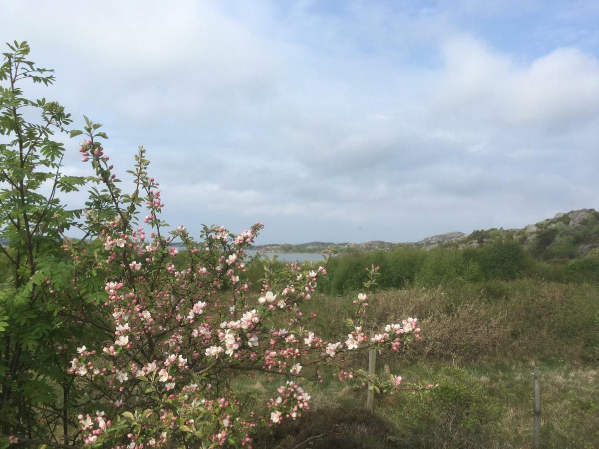 Stuga I Naturskoent Omrade Pa Vaestra Tjoern Saby Buitenkant foto