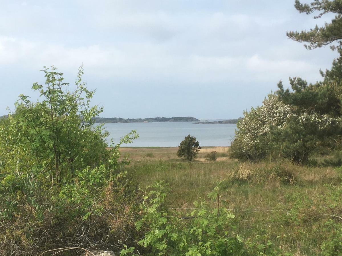 Stuga I Naturskoent Omrade Pa Vaestra Tjoern Saby Buitenkant foto