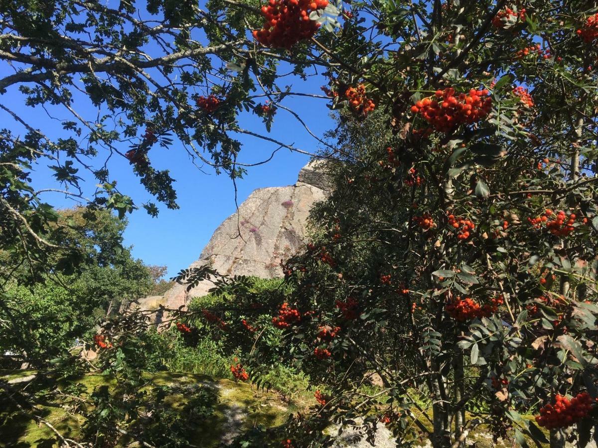 Stuga I Naturskoent Omrade Pa Vaestra Tjoern Saby Buitenkant foto